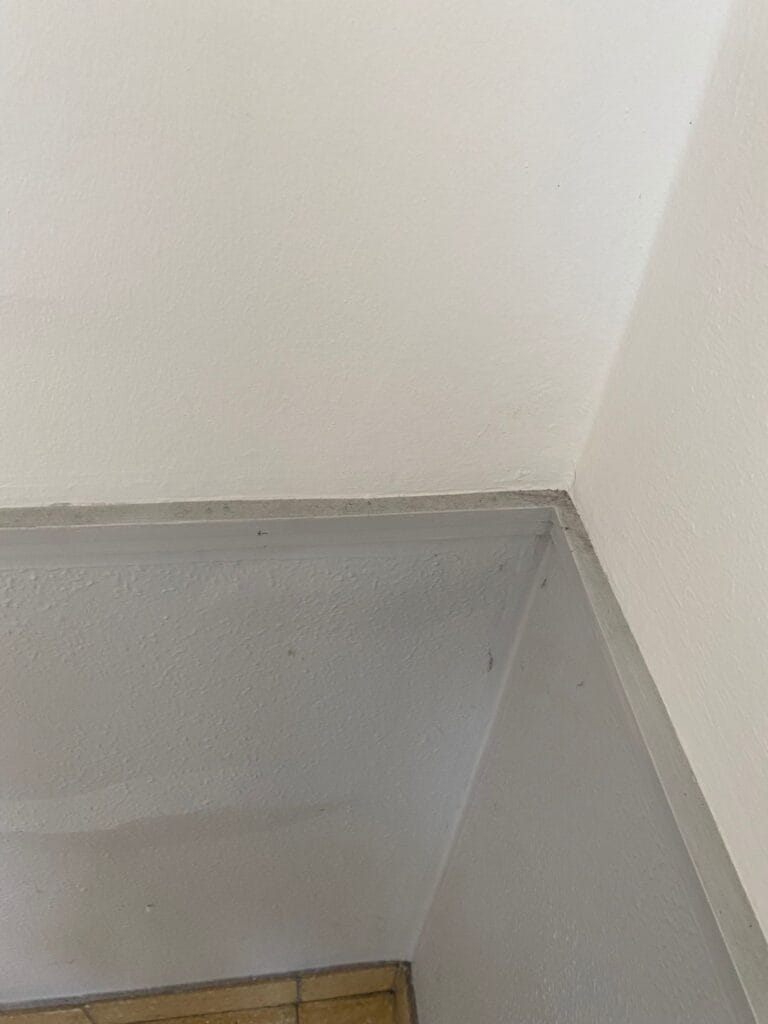 Treppenhausreinigung
