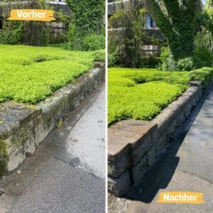 Steinreinigung